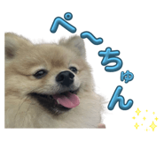 794908997