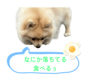 794908999