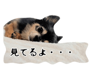 794919899