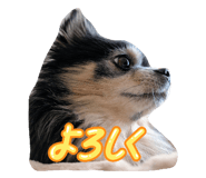 794919904