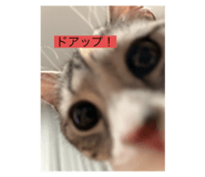 794922503
