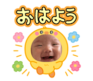 794925645