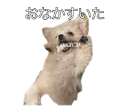 794932995