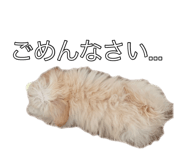 794933284