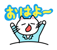 794953429
