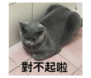 794970712