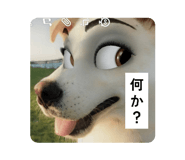 794974620