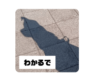 794974638