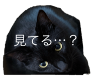 794975770