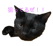 794975774