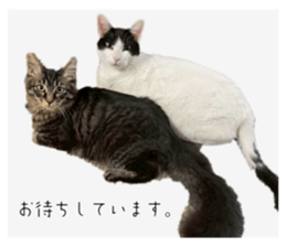 794978067