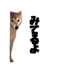 794987874