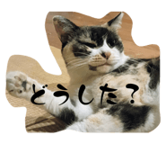 794992533