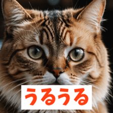 794993539