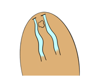 794995487
