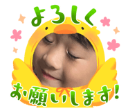 794995931