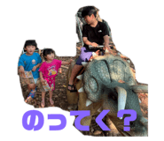 794995940