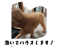 794996579