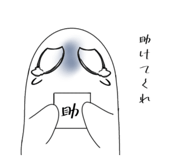 795020148