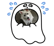 795030693