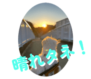 795041057