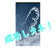 795041062