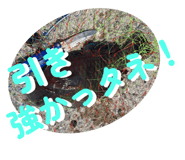 795041067