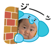795055313