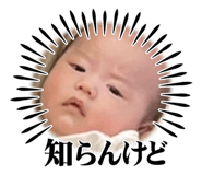 795056491