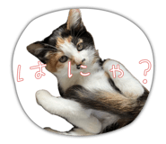 795066514