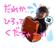 795067040