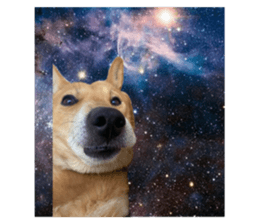 795067991
