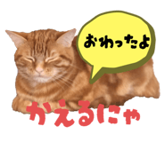 795068251