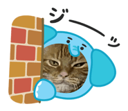 795068259