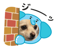 795068260