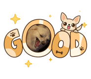 795068264