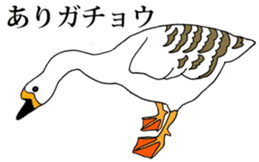 7950705