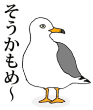 7950707