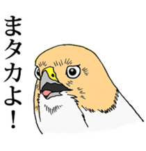 7950712