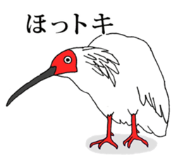 7950713