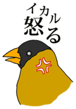 7950715