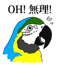7950716