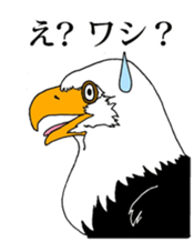 7950717
