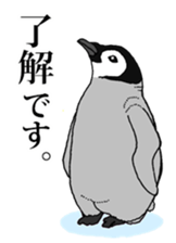 7950729