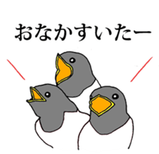 7950737