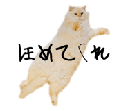 795076595