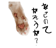 795076605