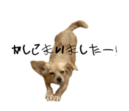 795076606