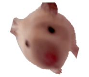 795079449