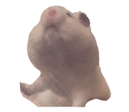 795079451